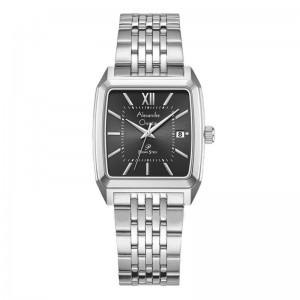 Alexandre Christie AC 1041 Silver Black Man MDBSSBA